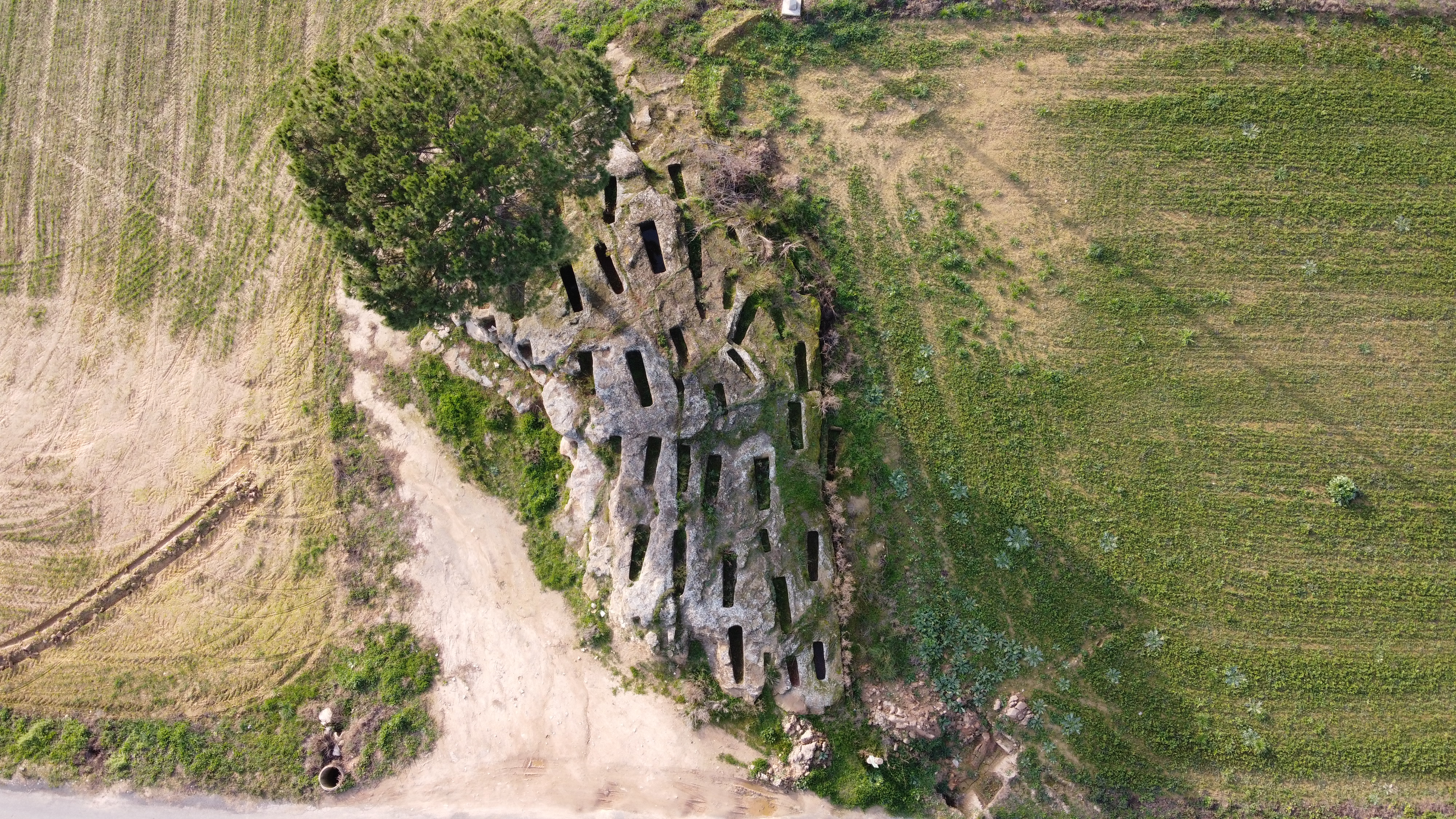 BCIL Necròpolis Tossa de Baix